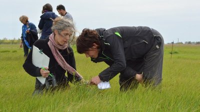 Dialogue Pour la Nature